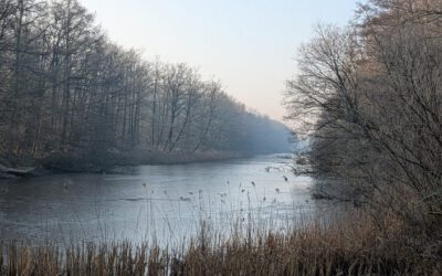 In wijsheid en liefde verder leven In wijsheid en liefde verder leven